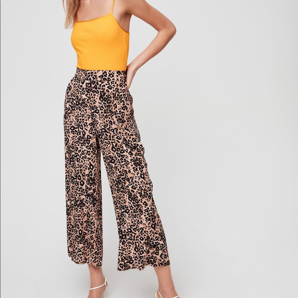 Aritzia pants